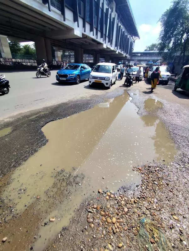 Auto drivers blame potholes for roller-coaster rides on city rds