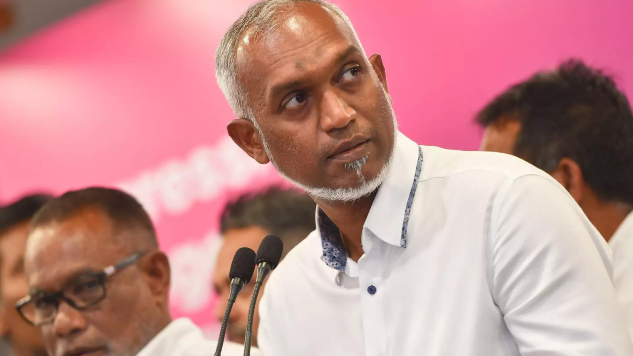 Muizzu says bid to topple govt, cites main bank's curbs on dollar spending