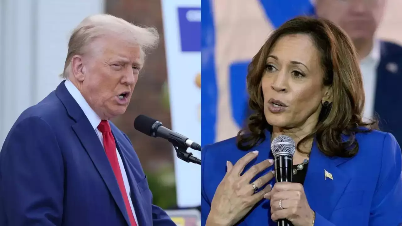 Trump campaign fires back at 'preposterous' Harris border wall narrative post media report: 'Total bulls**t'