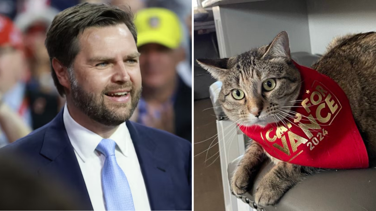 US elections 2024: JD Vance stirs controversy with 'Cats for Vance 2024' post amid backlash