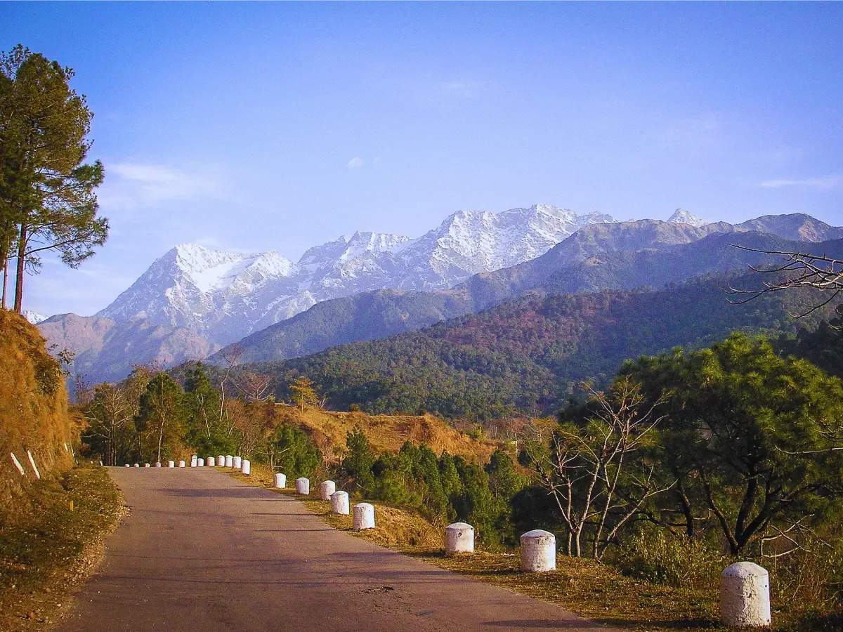 Himachal Pradesh: 5 things we love the most about Palampur