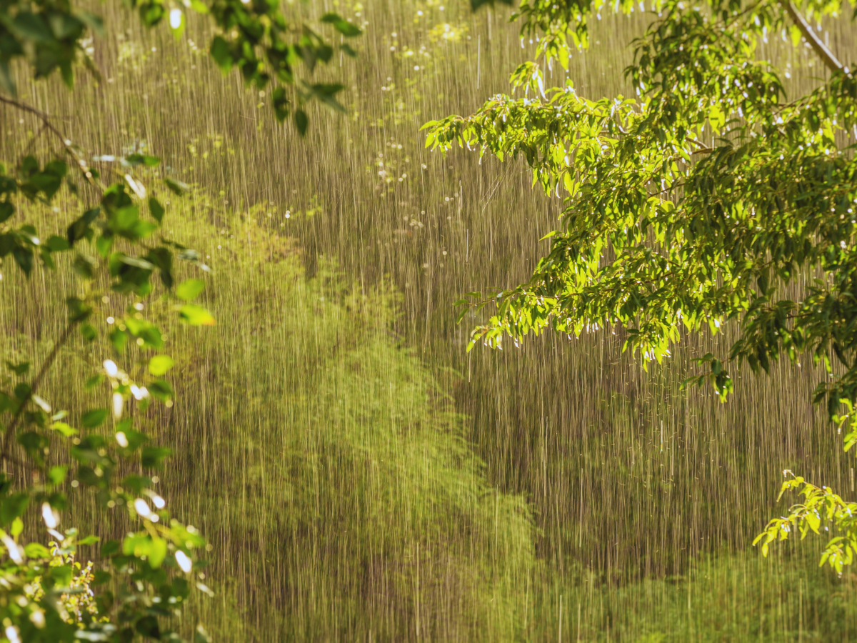 Gujarat weather update: IMD issues orange alert, more rain expected in Jamnagar, and other districts