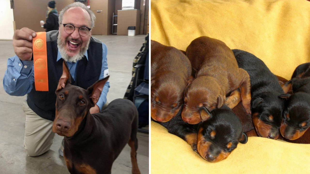 US dog breeder Paul Peavey’s murder: Suspect Sergio Ferrer arrested, puppies still missing