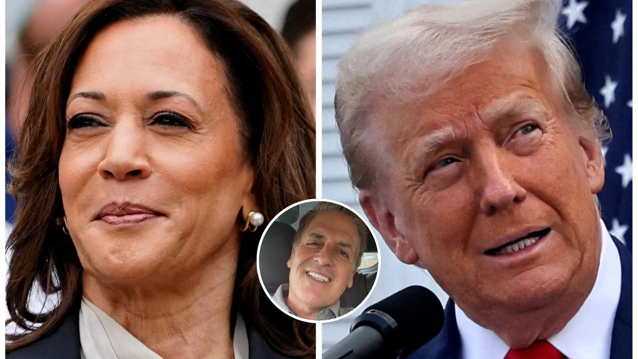 Trump vs Kamala: Mark Cuban asks netizens who should children emulate, here are the results