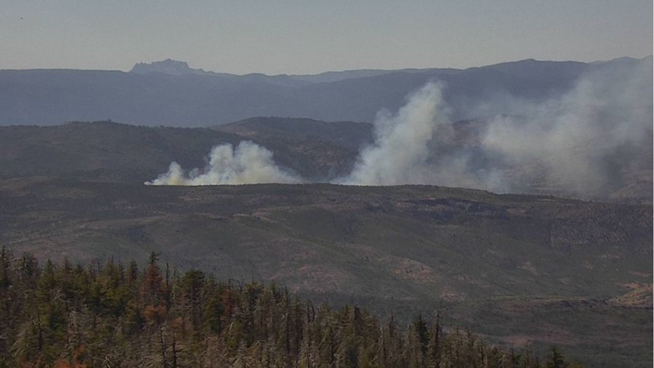 Bear Fire forces evacuation near Sierra Brooks as blaze rapidly expands