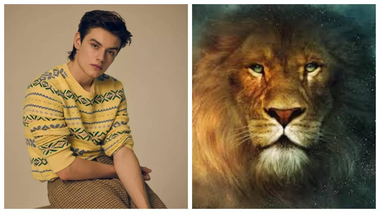 msid-113035423,imgsize-53528.cms