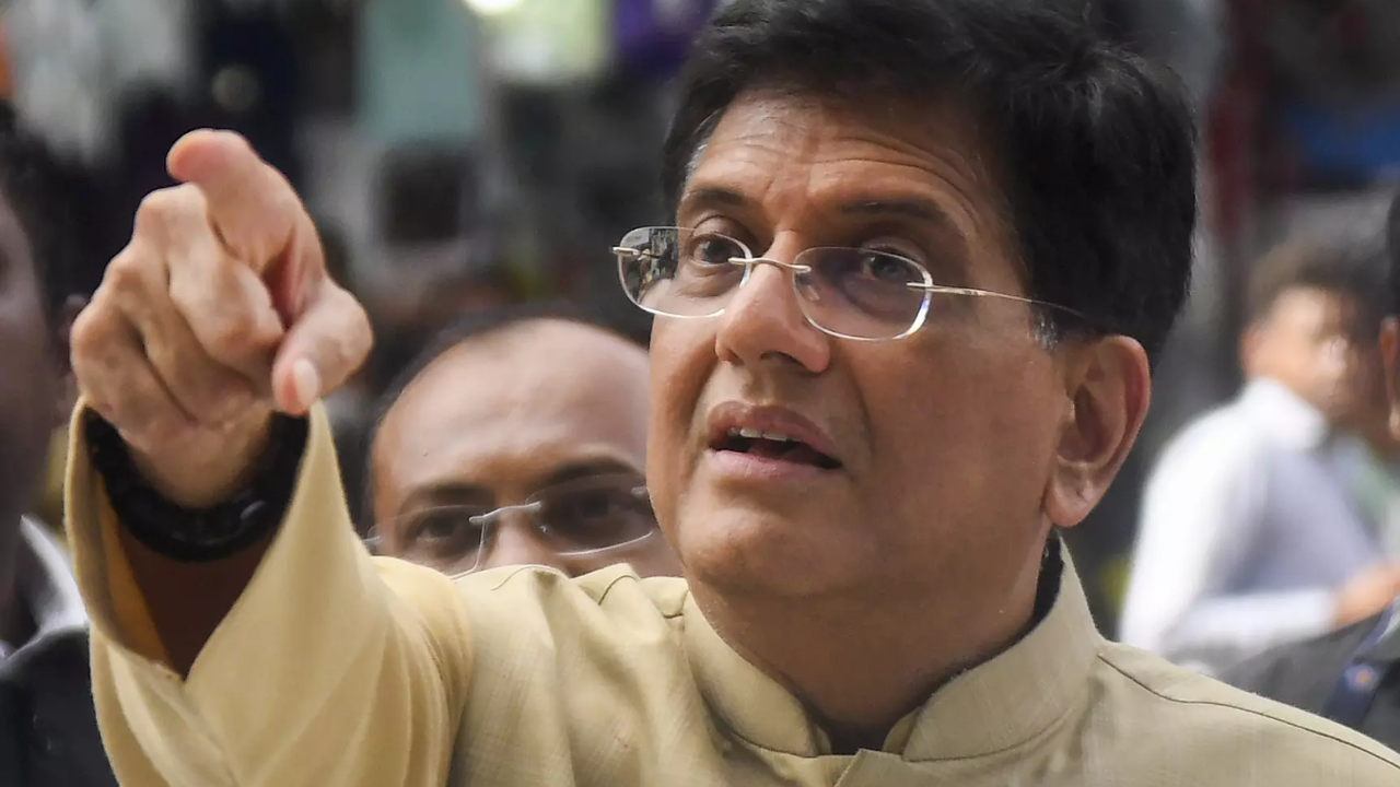 Piyush Goyal backs border adjustment tax for steel