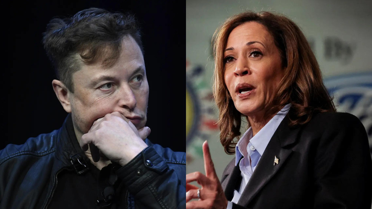 'Kamala wants to destroy ... ': Elon Musk warns of risks if Harris becomes US president