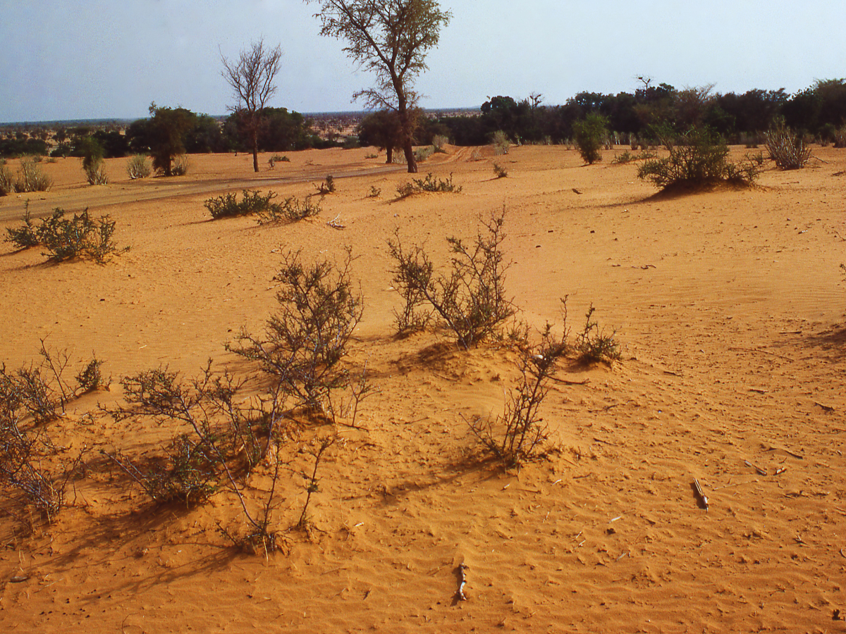 Bir Tawil: The enigmatic no-man’s land that nobody wants!