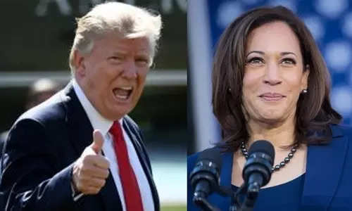 Hindus for America First endorses Trump: 'He is pro-India, Harris would be destabilizing’