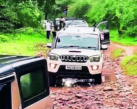 NGT seeks explanation on illegal entry of SUVs into Ranthambore