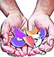 Spl panel to streamline organ transplant process