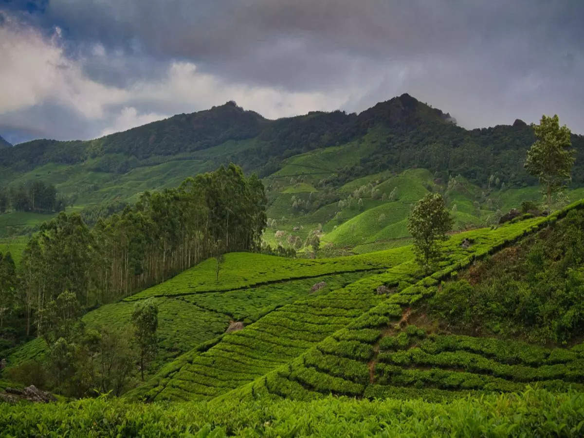 25 places in Kerala to become ‘Green Tourism Destinations’