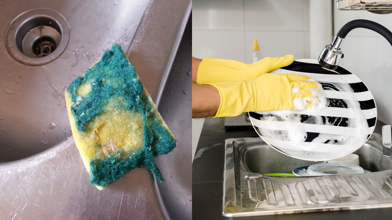 Did you know your kitchen sponge can cause kidney failure?