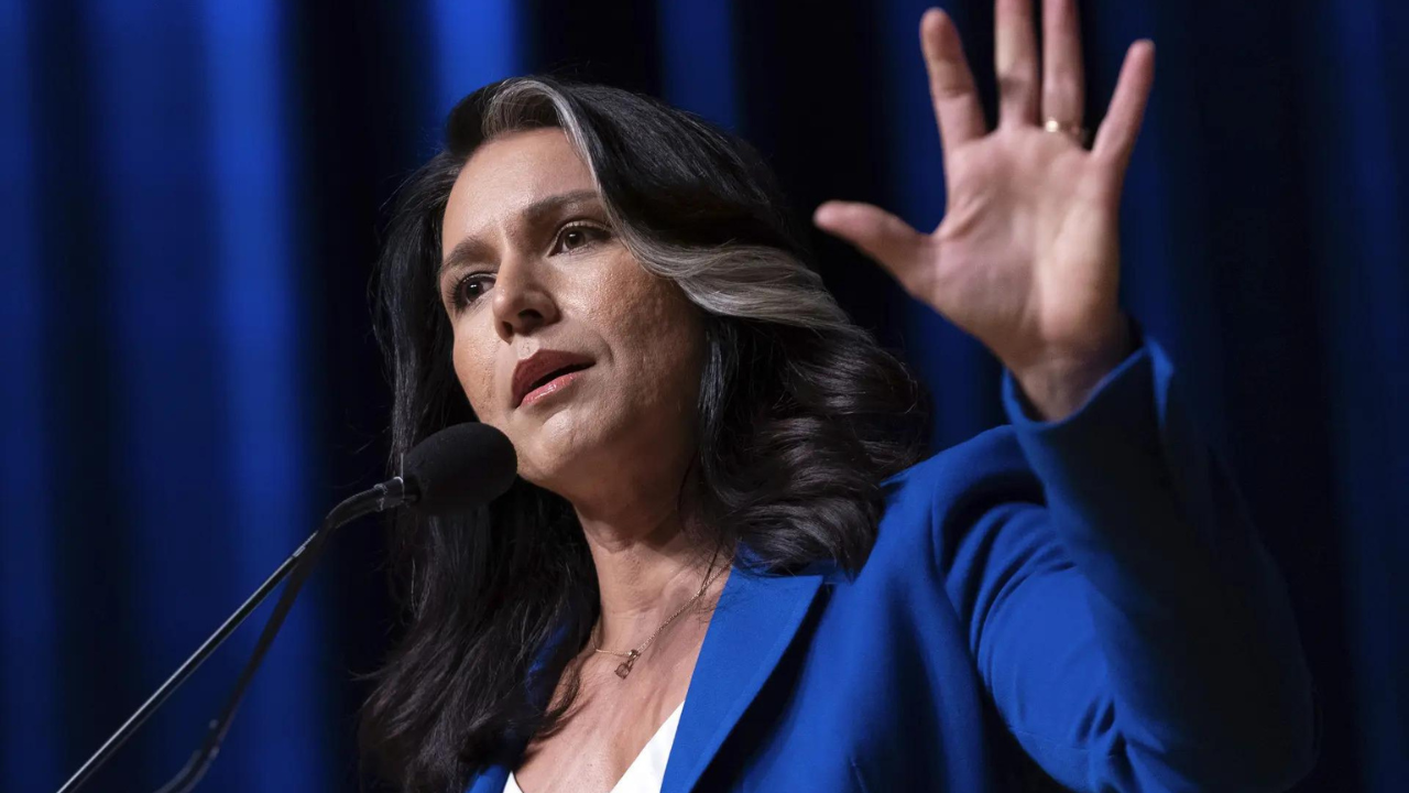 Tulsi Gabbard says Dick Cheney has made it easier: 'A vote for Kamala Harris is...'