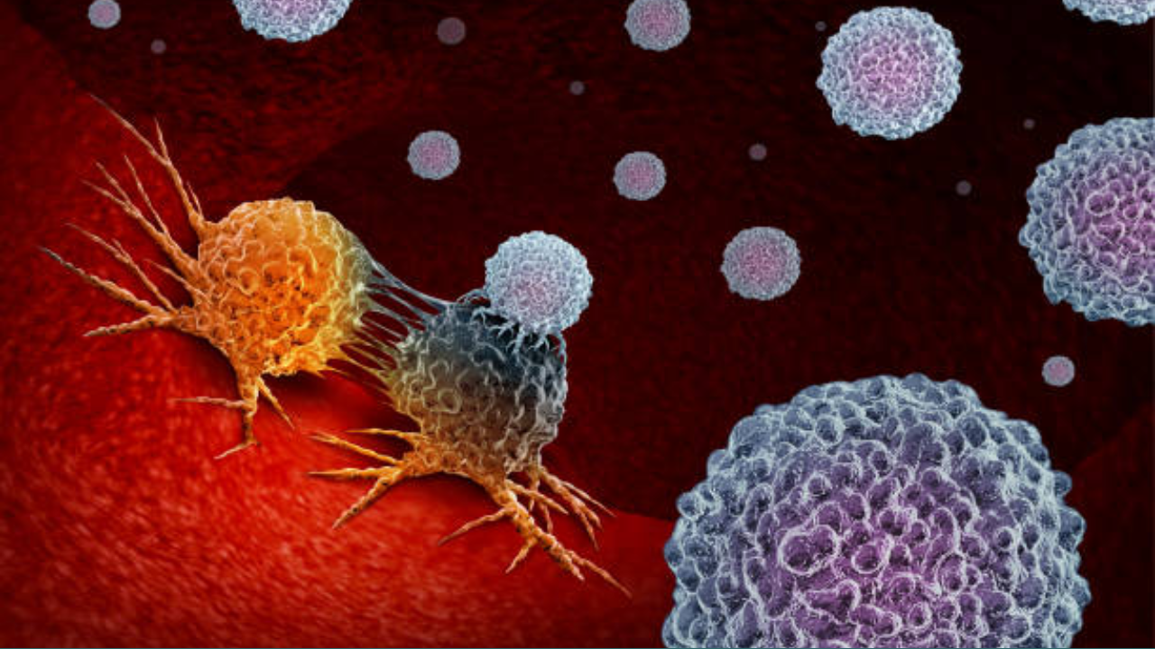 Ancient viruses in the body help cancer cells to grow