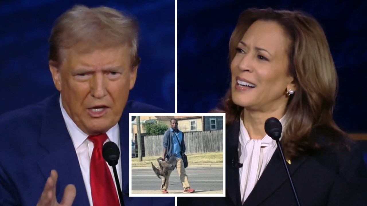 Trump falsely accuses immigrants in Ohio of abducting and eating pets: 'They’re eating dogs. They’re eating cats'; Kamala calls claims ‘extreme’