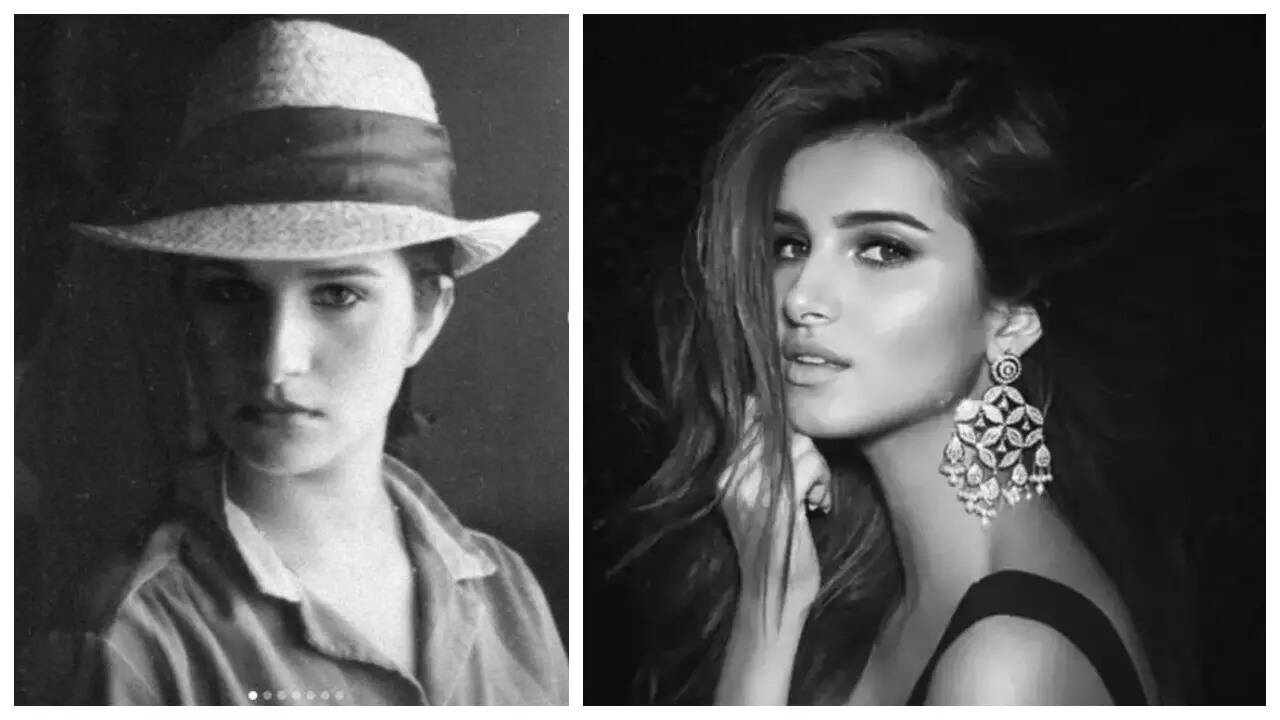 msid-113269399,imgsize-29262.cms