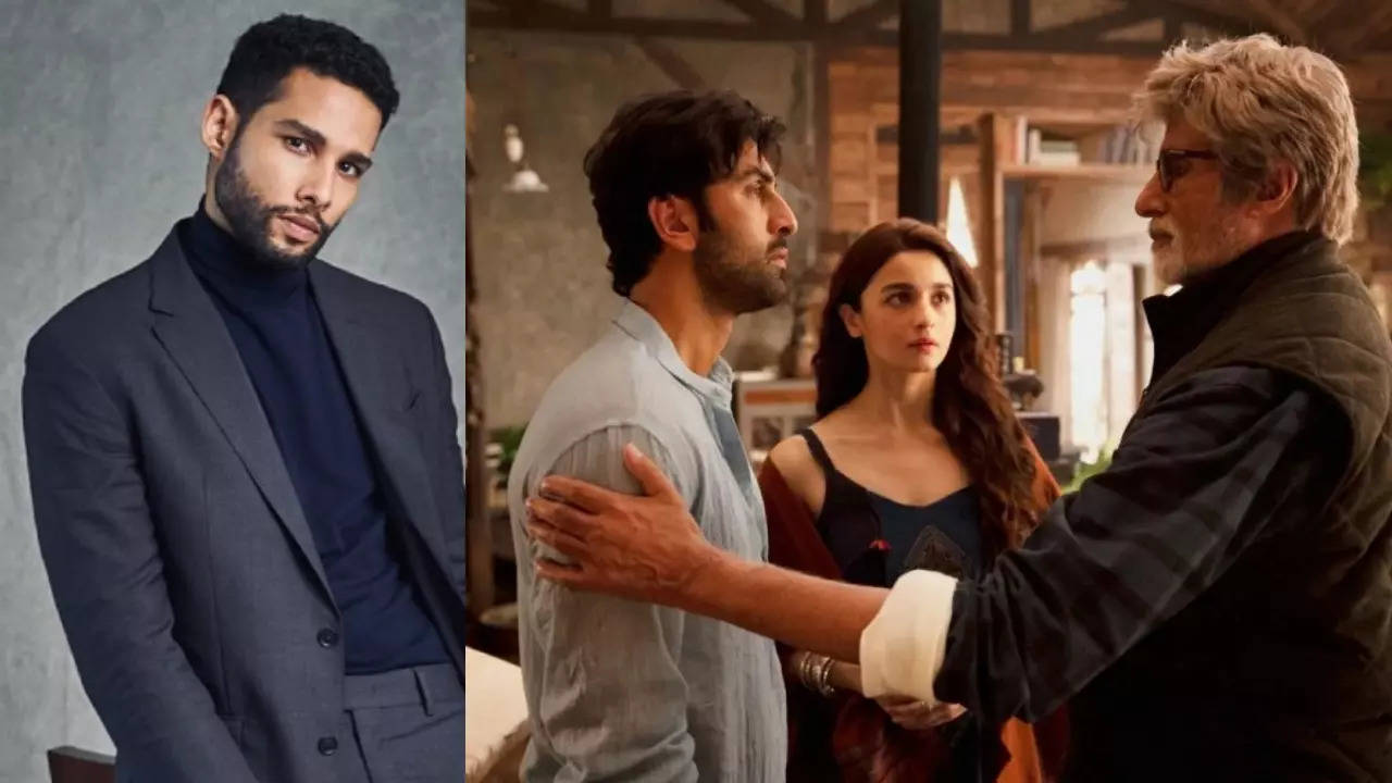 Siddhant Chaturvedi reveals REAL reason for not doing Amitabh Bachchan, Ranbir Kapoor, Alia Bhatt starrer 'Brahmastra': 'Who am I to say no to..? | Hindi Movie News Filmymeet