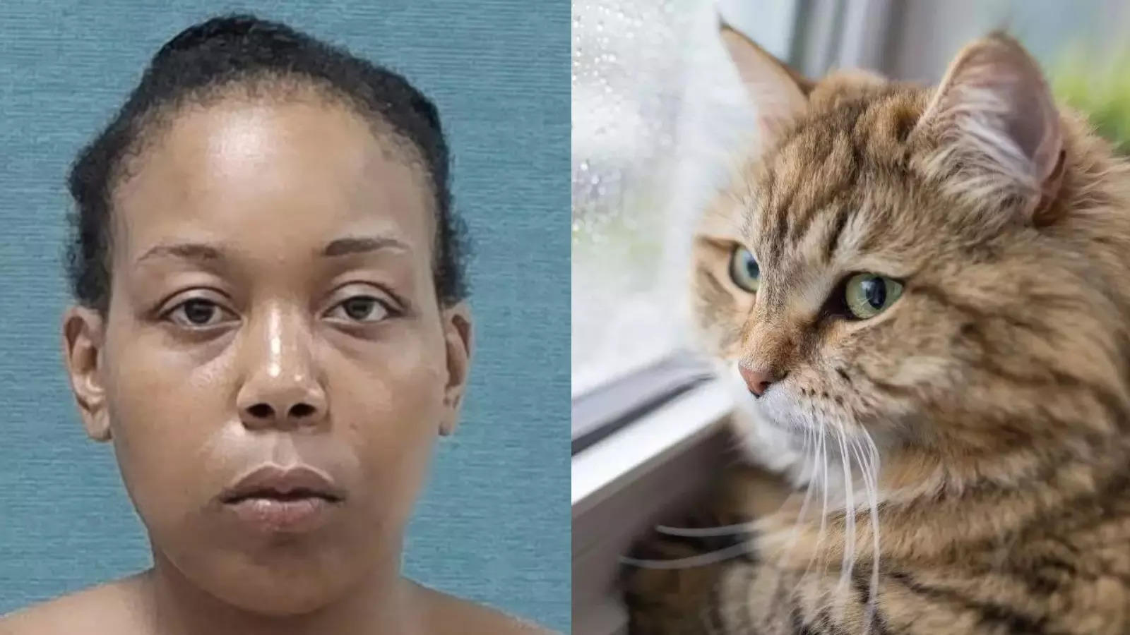 Haitian immigrant pet-eating row: Ohio woman accused of eating cat is US citizen; video is from Canton, not Springfield