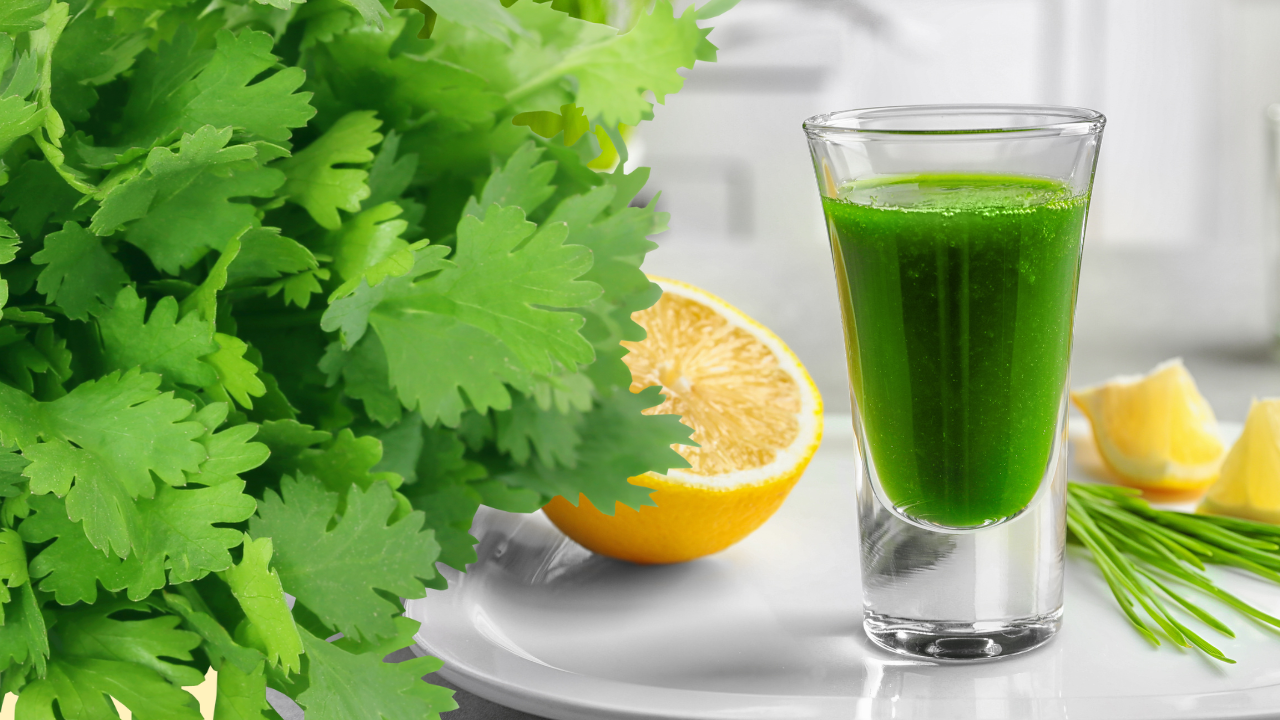 Dhaniya leaves shot: 6 benefits of drinking coriander shot