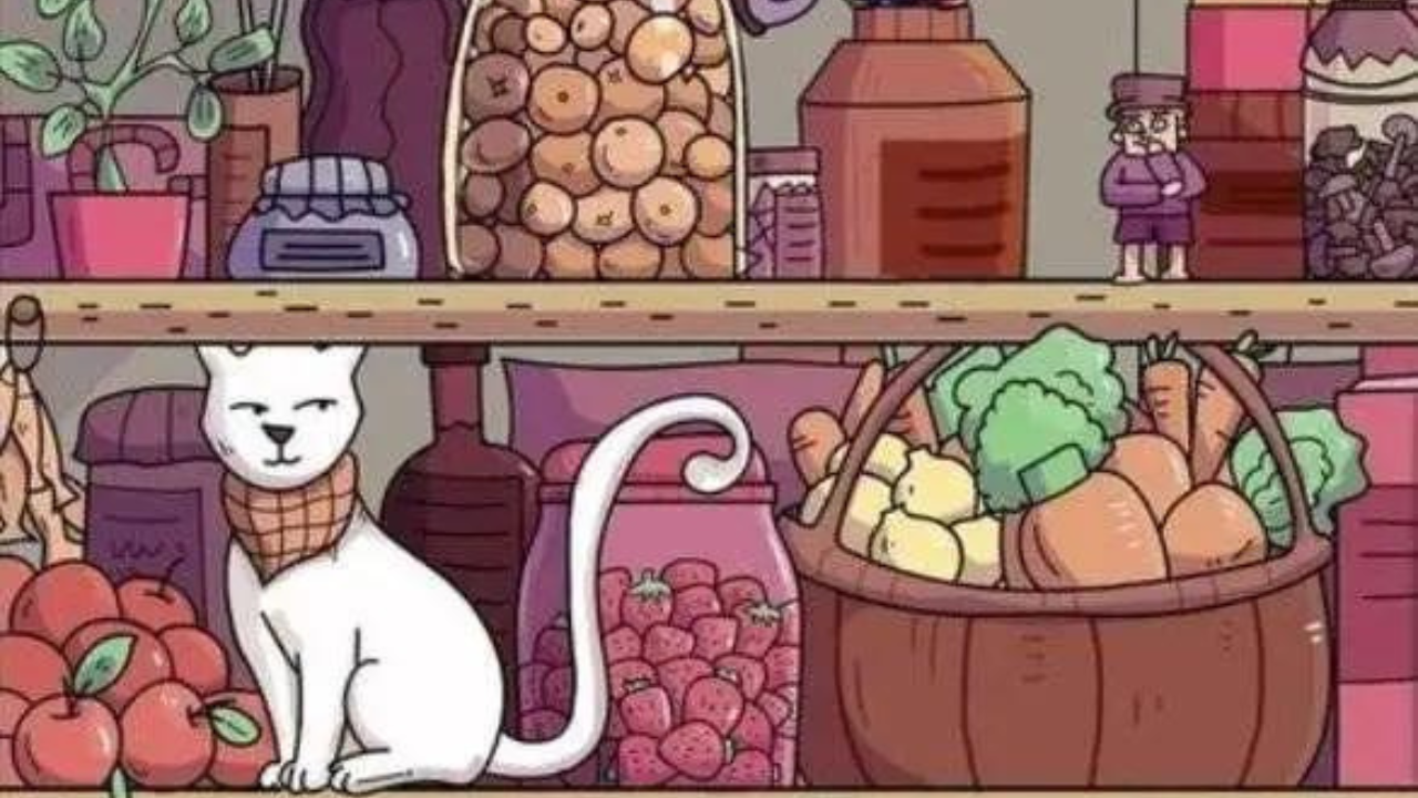 Optical illusion: Only a true cat lover can spot the hidden hammer in 7 seconds