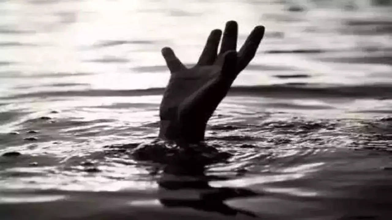 Telangana student drowns in Toronto lake while celebrating birthday – Times of India