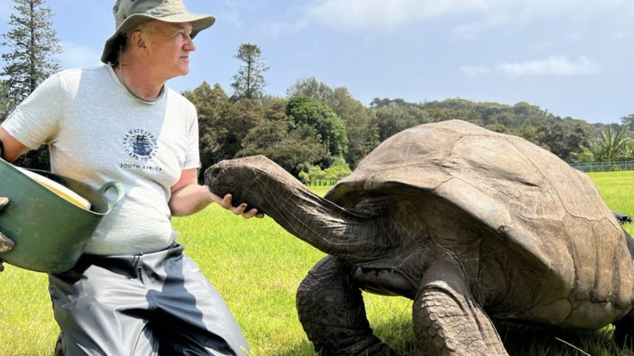 Meet Jonathan, world's oldest living land animal, who is 191 years old