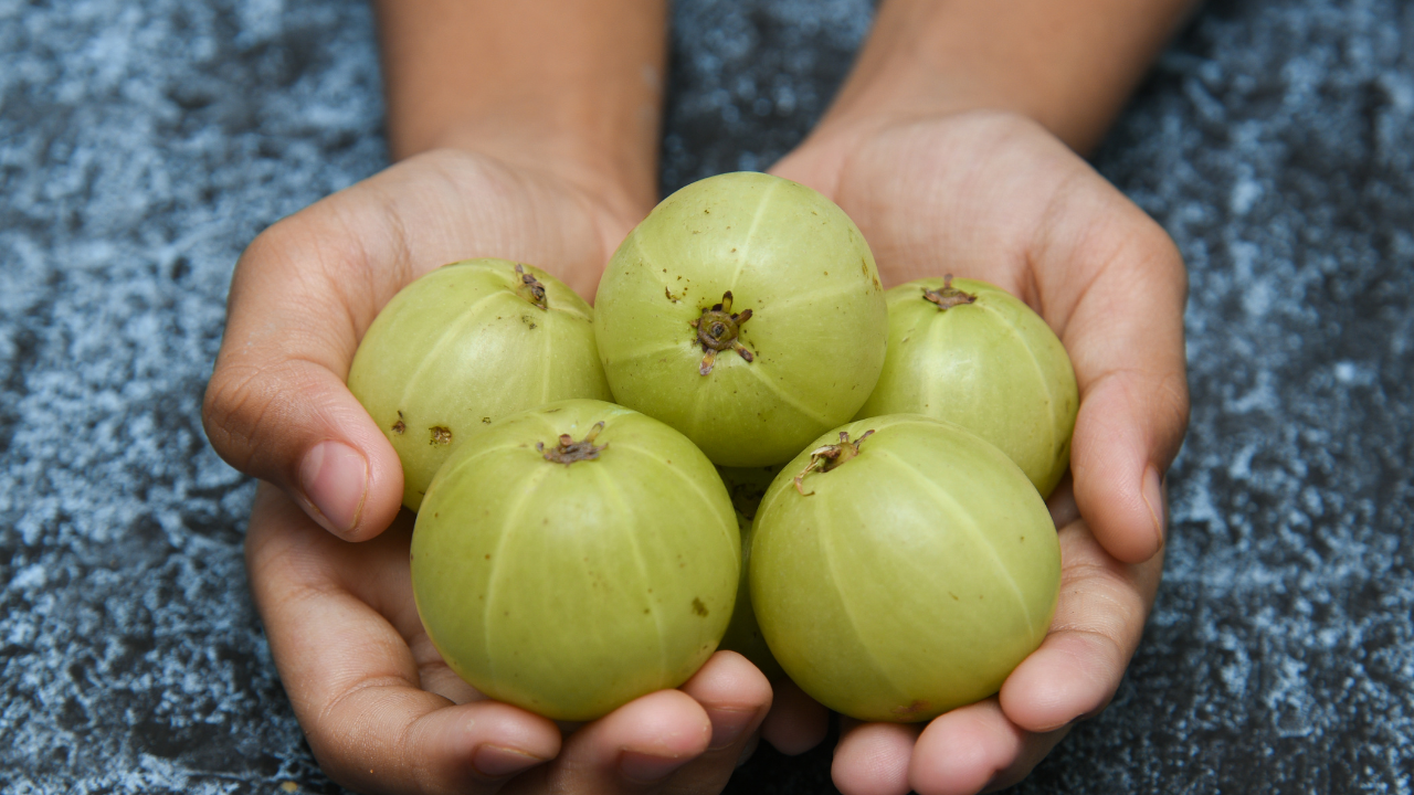 Why consuming Amla during periods is a must