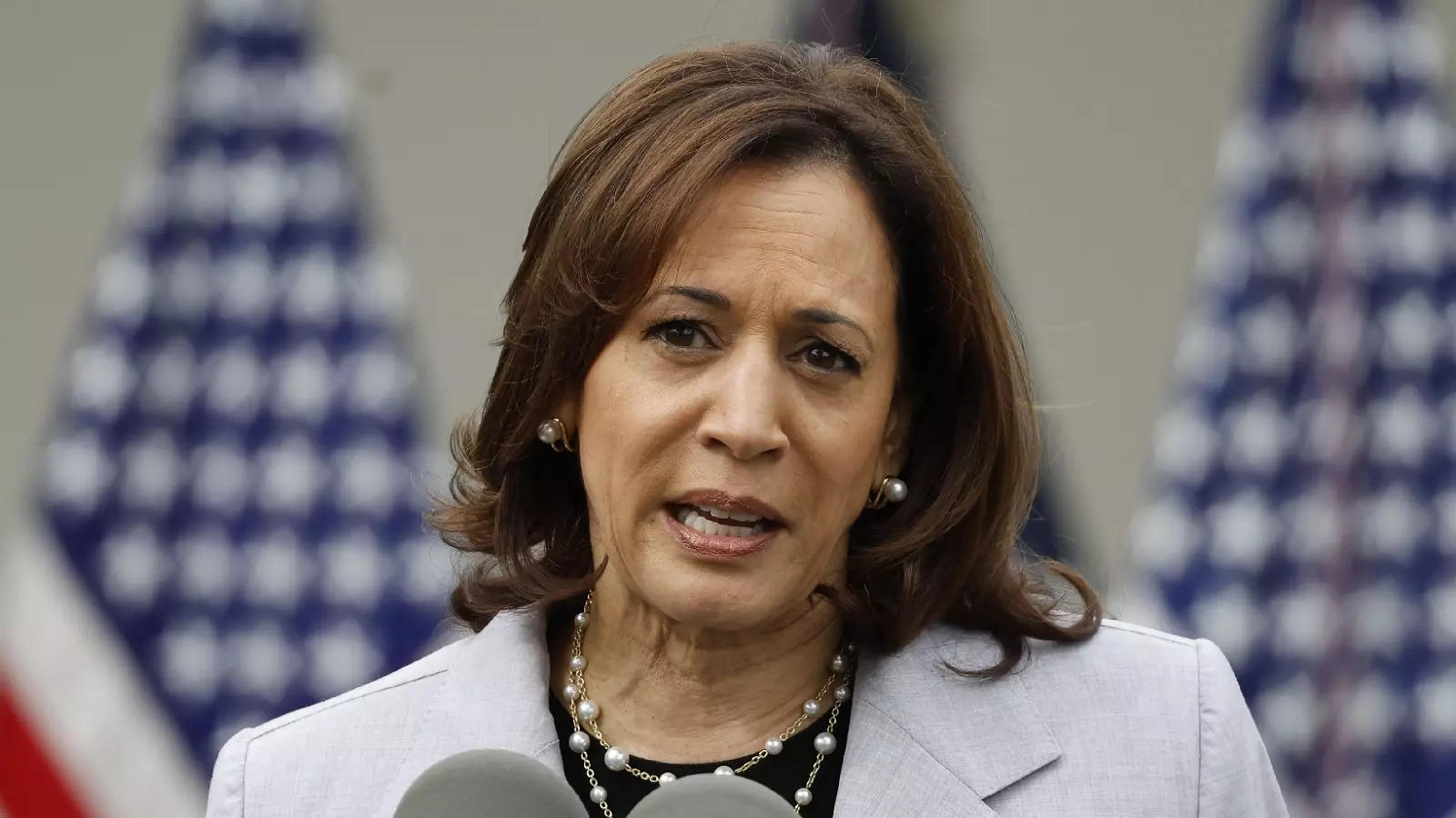 MAGA mom mocks Kamala for not having biological children