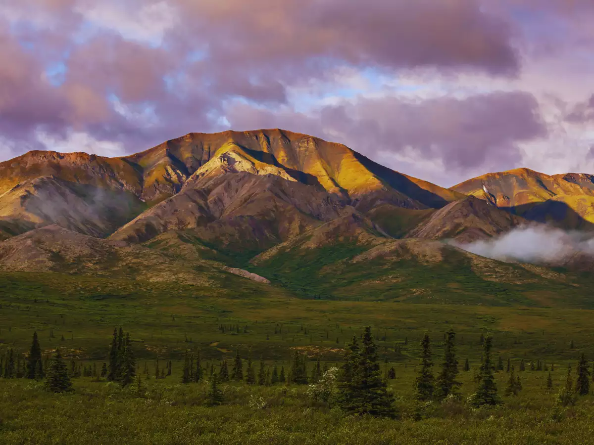 The 7 tallest peaks in the United States