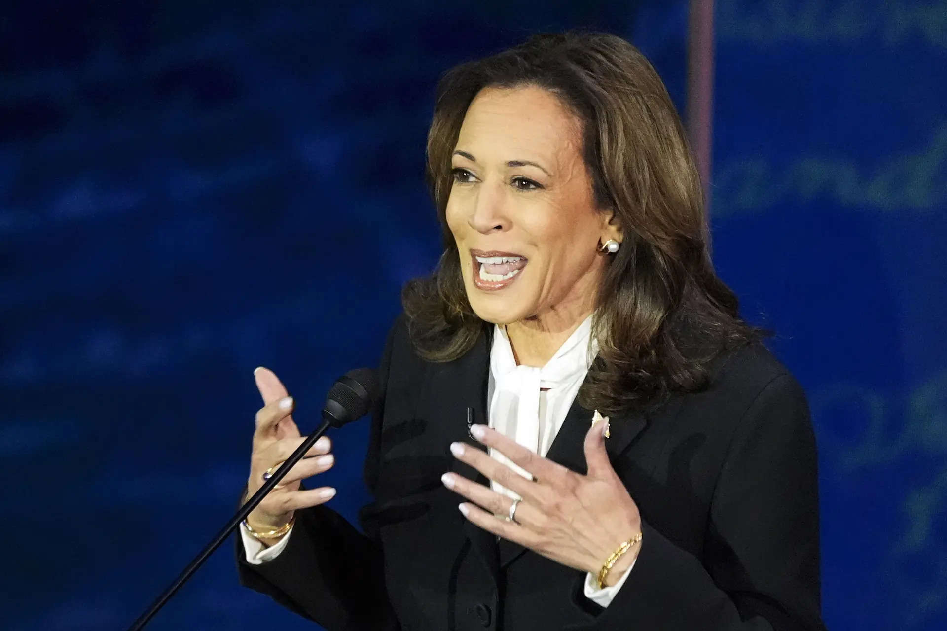 What we know about Kamala Harris' gun