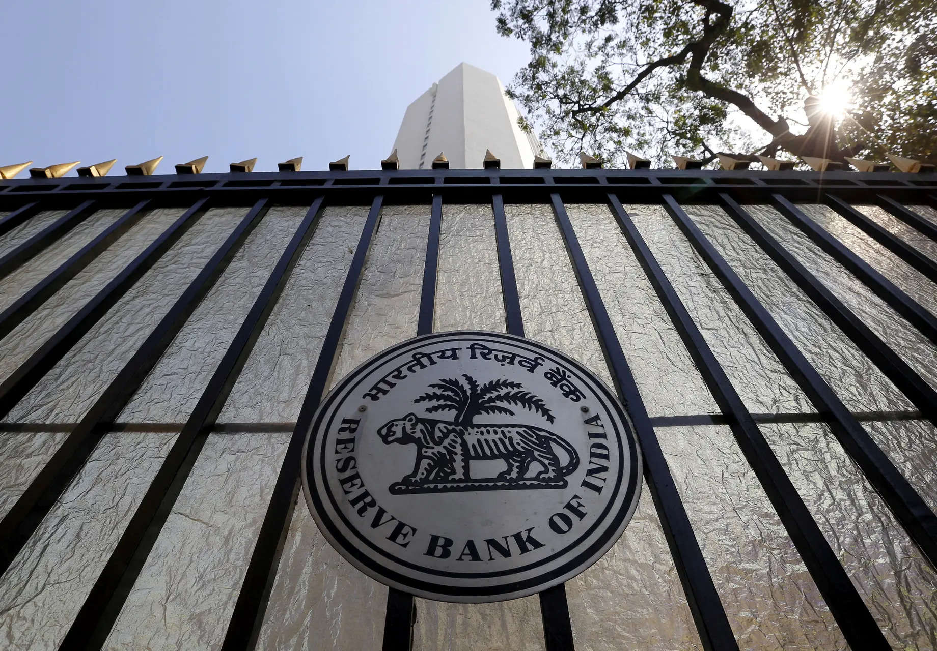 'Russian roulette' in markets, RBI flags volatility risks