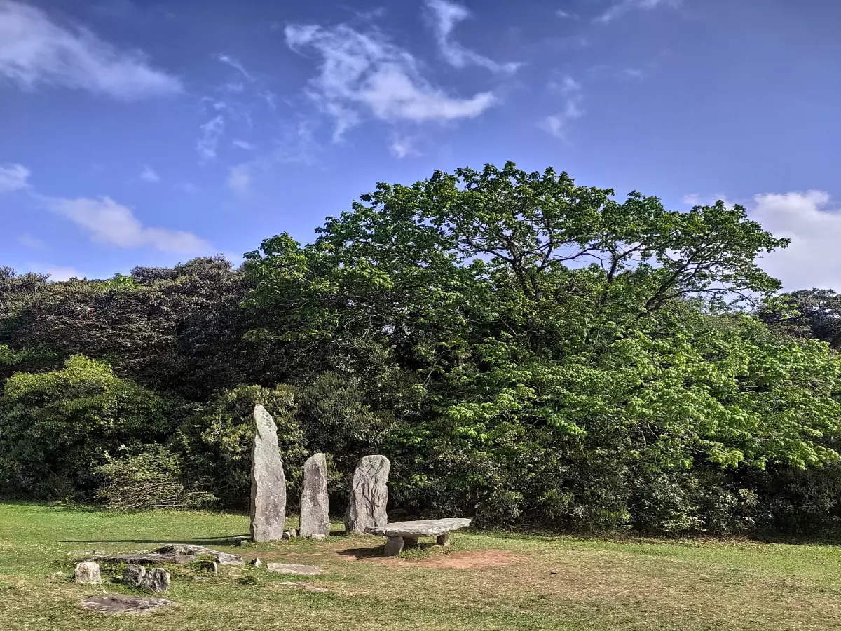 Mawphlang Sacred Grove, Meghalaya: You can’t take anything away from this forest