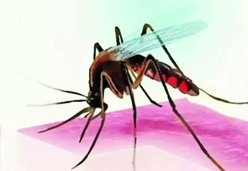 Man with dengue dies in Kaikhali