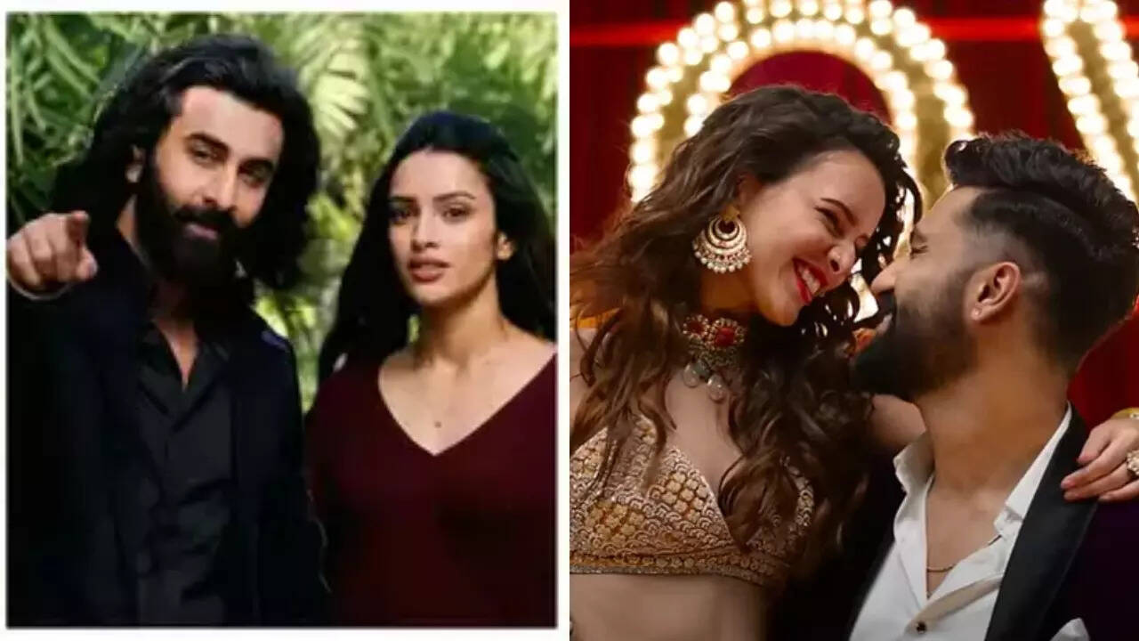 Triptii picks Vicky over Ranbir as her 3am friend