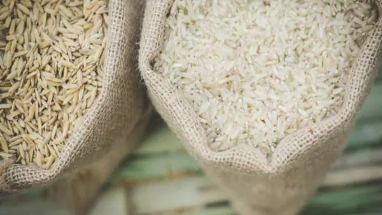 India lifts ban on non-basmati white rice export, sets MEP at $490 per tonne