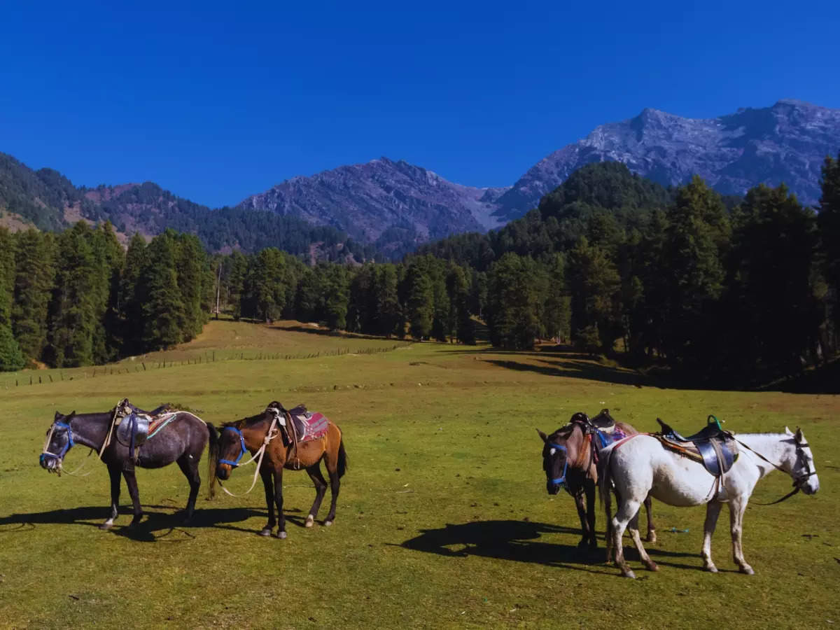 This Kashmiri village should be on your adventure and sustainable travel bucket list