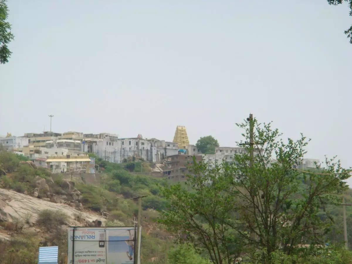 All about Yadadri Link Bridge, India’s second-longest arch bridge in Telangana