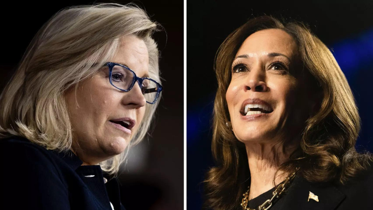 Will Liz Cheney be Kamala's trump card?