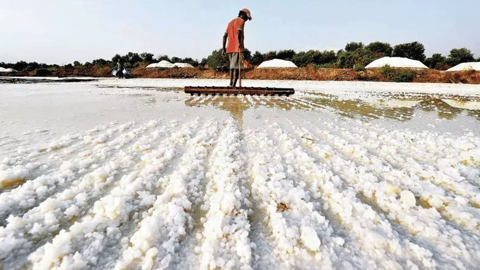 Maharashtra allots prime salt pan land to Veer Savarkar Charitable Trust for educational institute