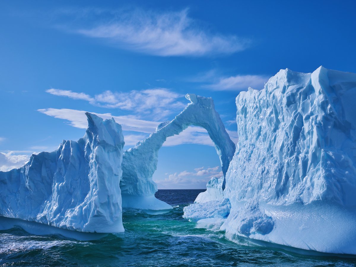 Antarctica is rapidly turning green; find out why it’s troubling