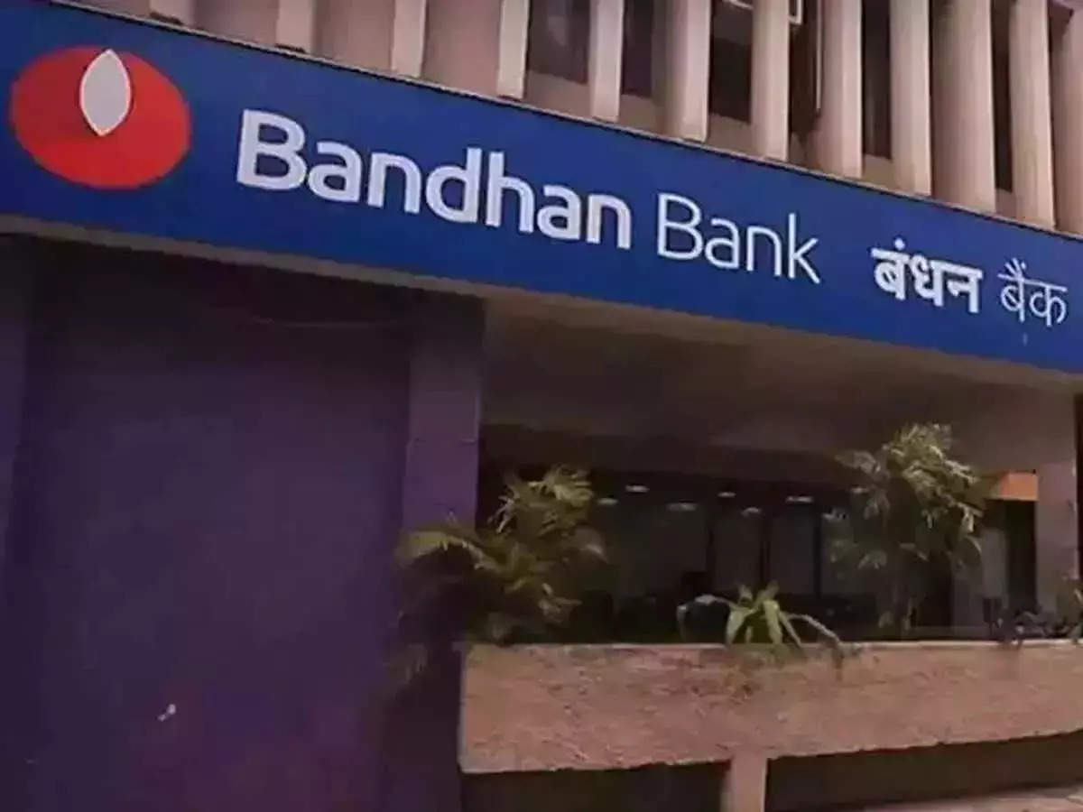 Bandhan Bank business grows 24.6% in Q2