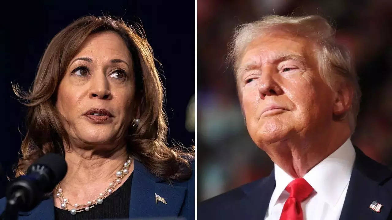 Kamala Harris vs Donald Trump: Latest NYT/Sienna poll finds Harris rising