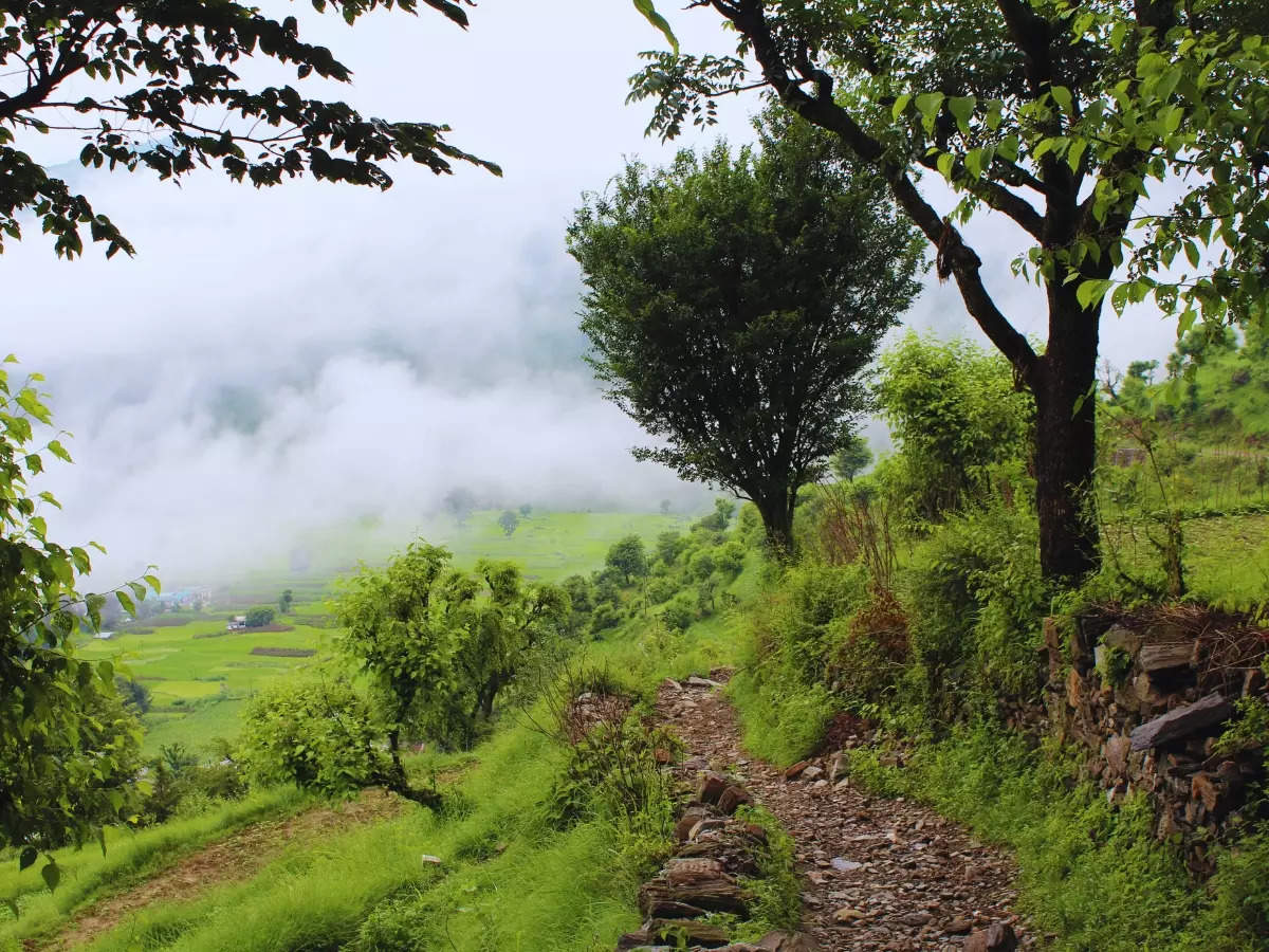 Offbeat hill stations near Delhi for tranquillity and clean air