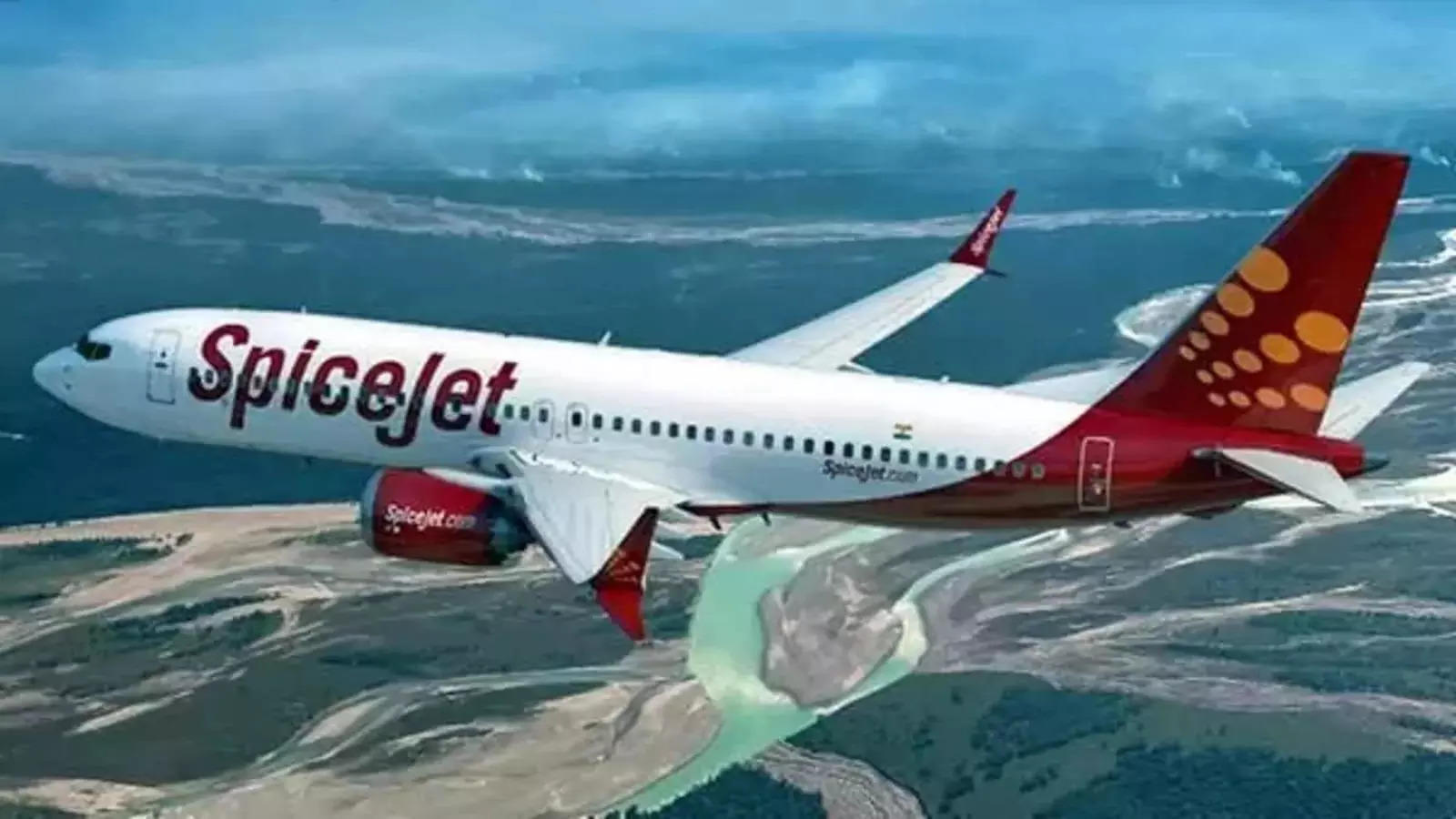 Grounded planes to fly again in 2 years: SpiceJet