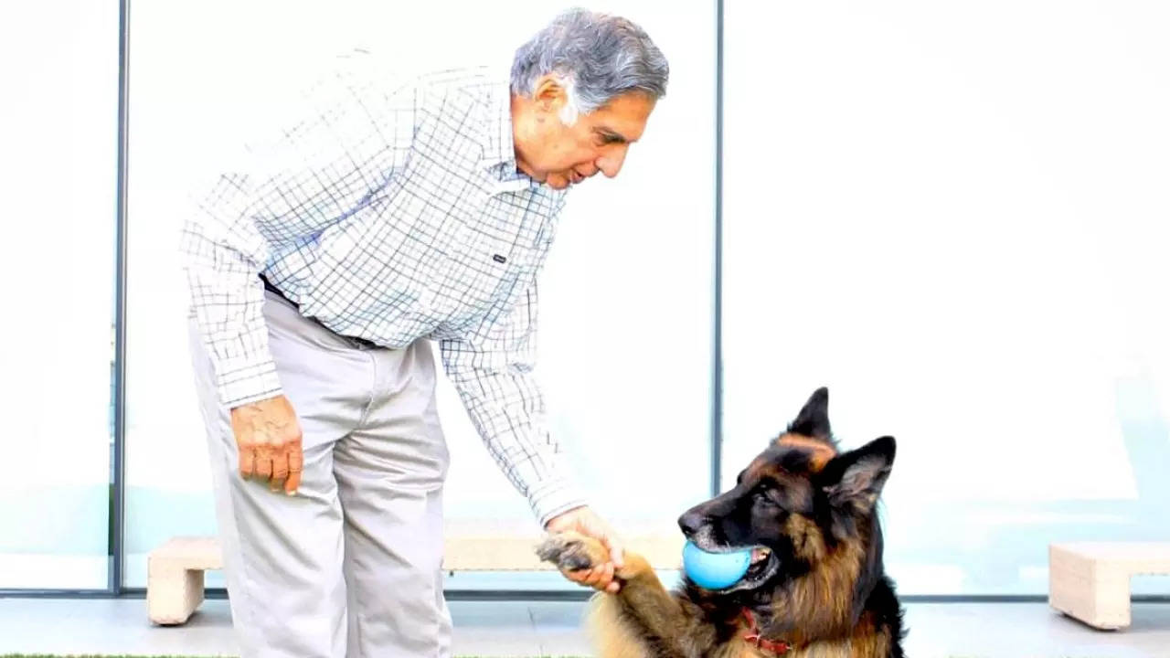 When Ratan Tata opted to be with his ailing dog over receiving an award from Prince Charles