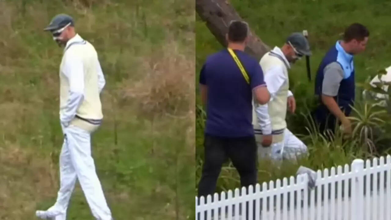 Nathan Lyon's hilarious quest for lost ball in bushes. Watch