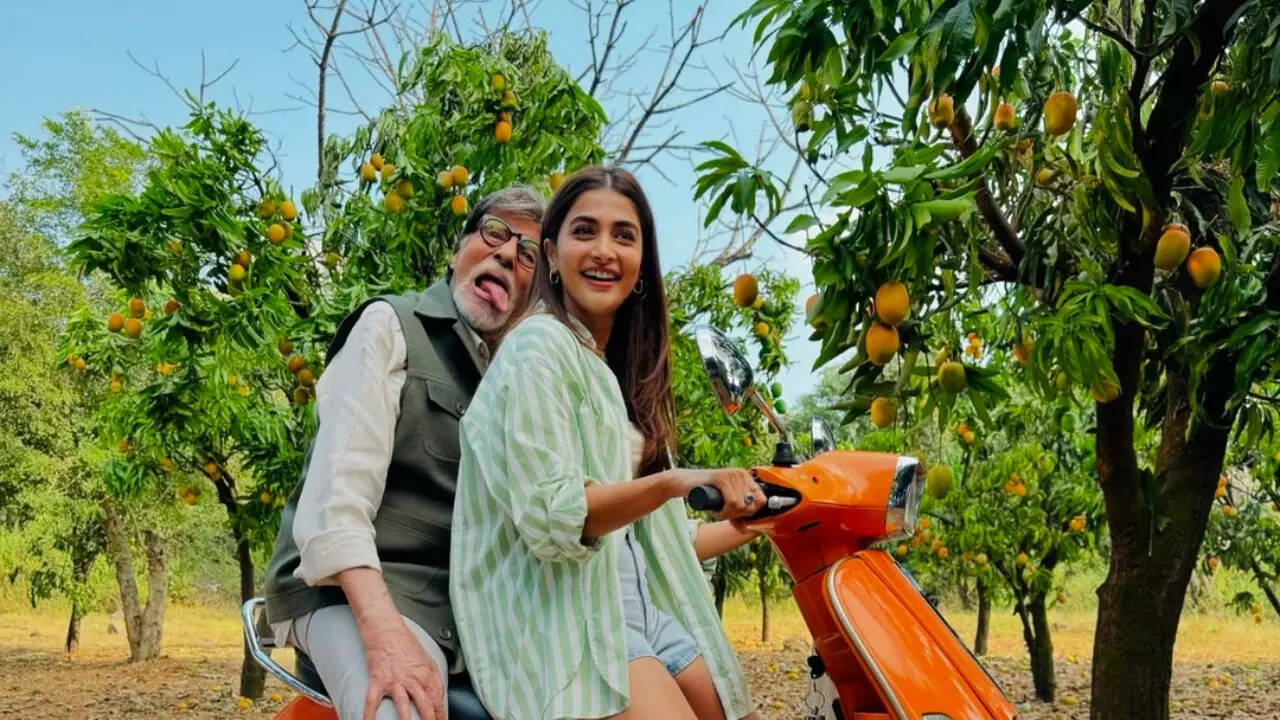 Pooja shares Big B's photo on his 82nd birthday
