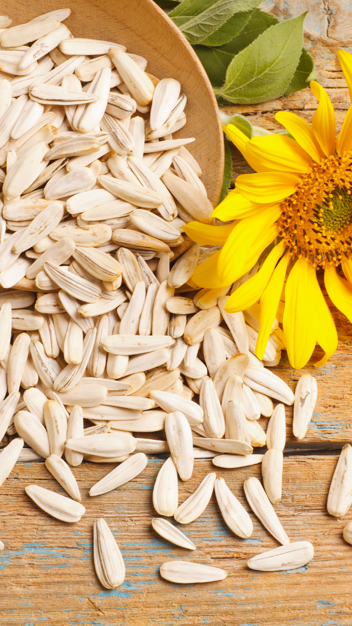 Sunflower seed benefits: 8 reasons to consume sunflower seeds every day